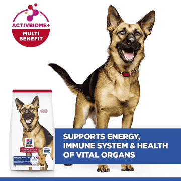 Canine Mature Adult 6+ Large Breed
