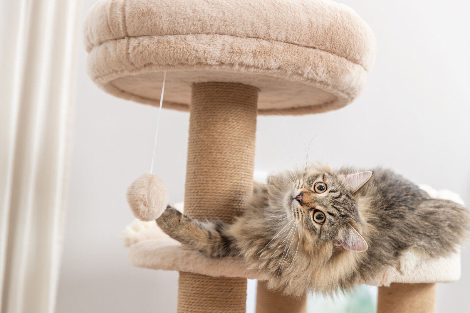 Arbre à chat Boho Filippo