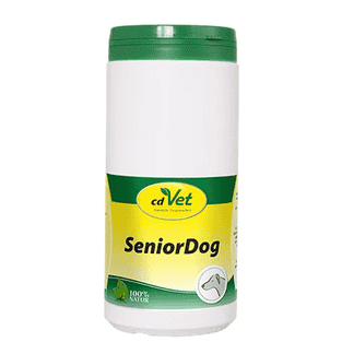 SeniorDog