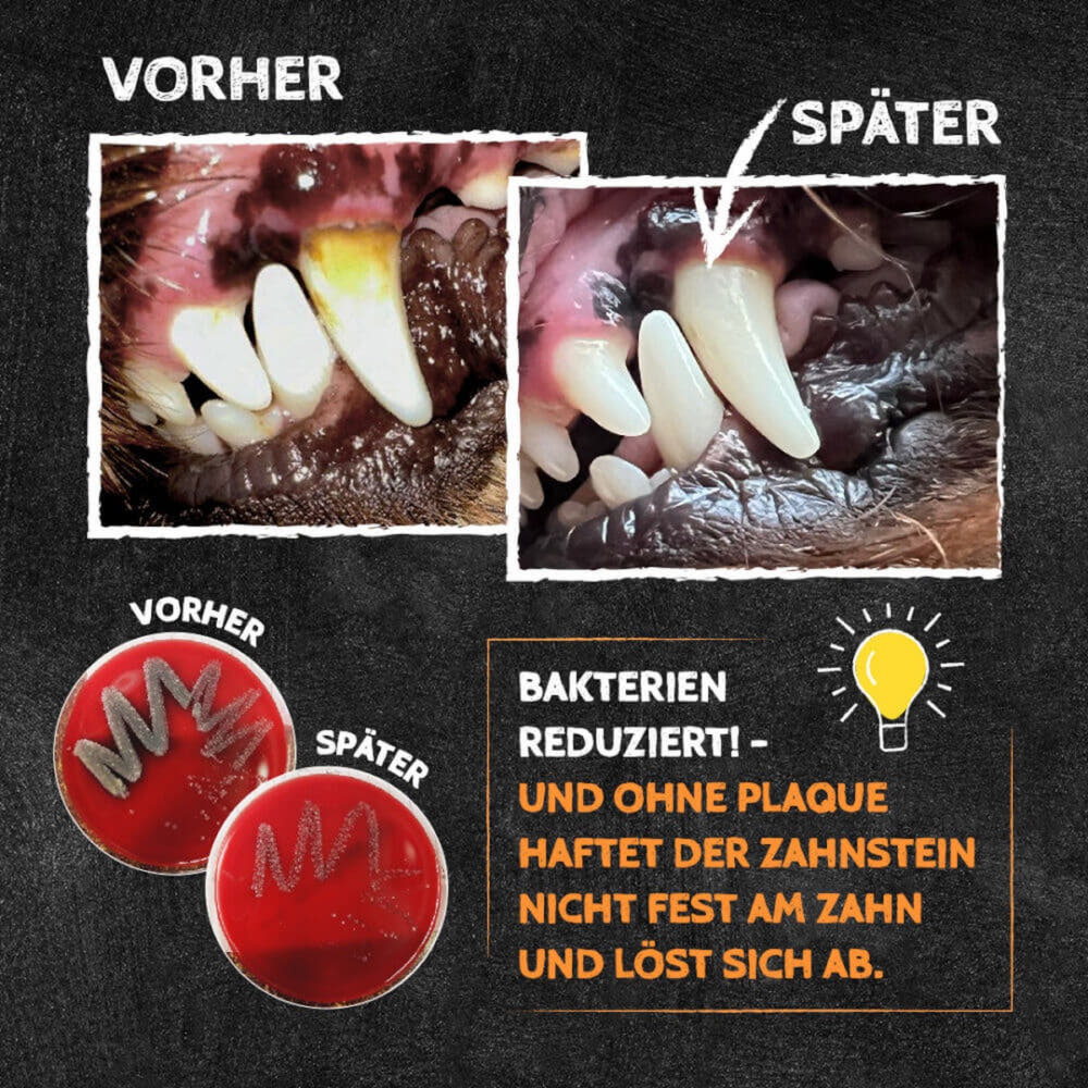 Glücklichmacher