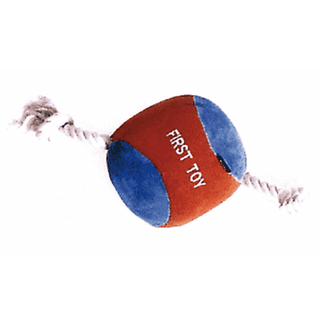 Puppy toy ball