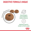 Digestive Care