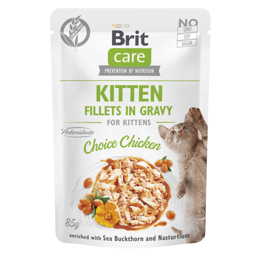 Care Cat - Fillets Kitten in Gravy with Chicken