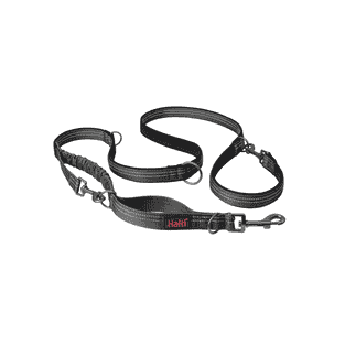 Anatomy leashes, gray