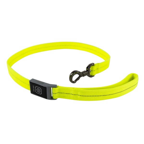 PVC Light-Leash