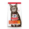 Feline Adult Chicken