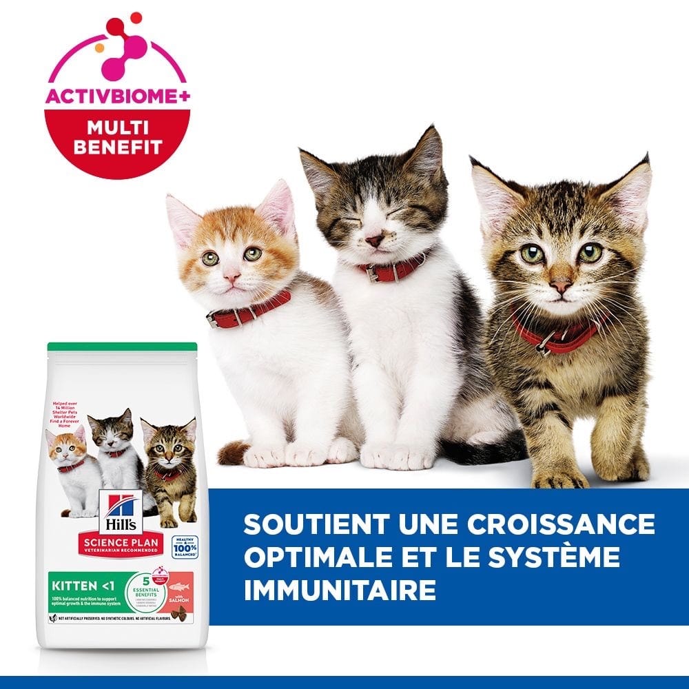 Kitten Tuna (nouveau: Salmon!)