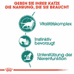 Instinctive 7+ in Sauce - Frischebeutel