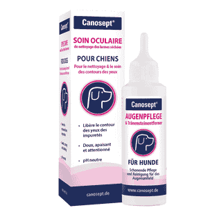 Soins oculaire pour chiens