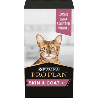 Cat Skin & Coat +