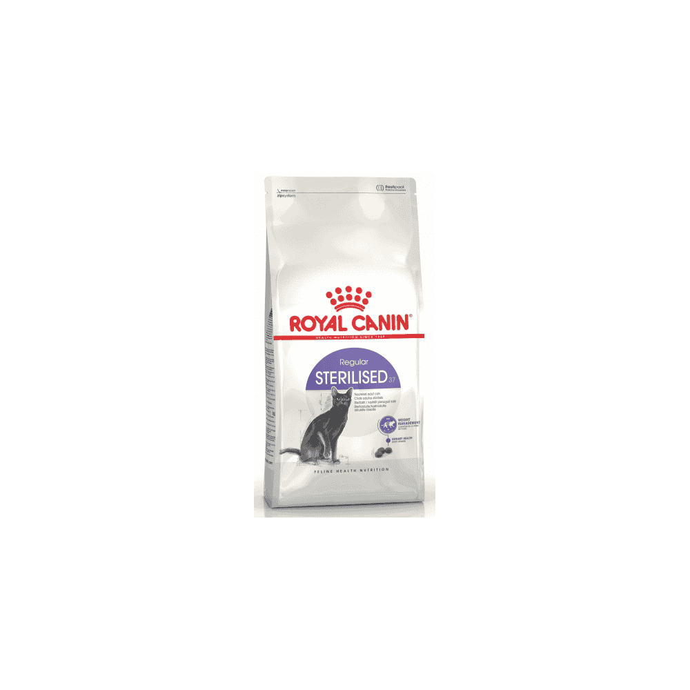 Sterilised 37 Cat