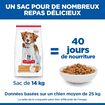 Canine Adult Light Medium Breed