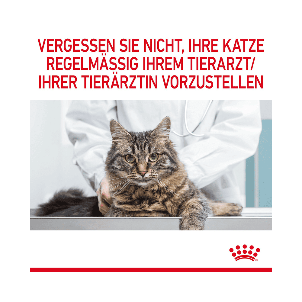 Appetite Control Gravy - Frischebeutel