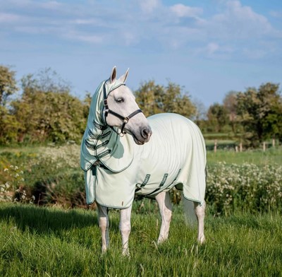 Rambo Hoody fly rug