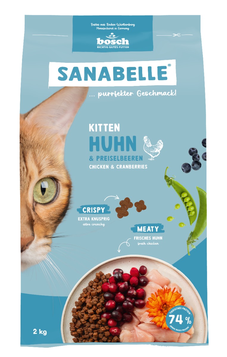 Kitten poulet