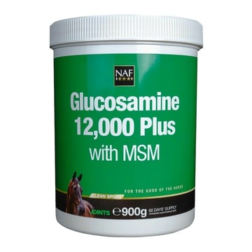 Glucosamine 12,000 Plus with MSM