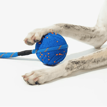 Wicked Ball Air Rope