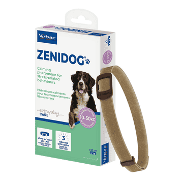Zenidog Halsband
