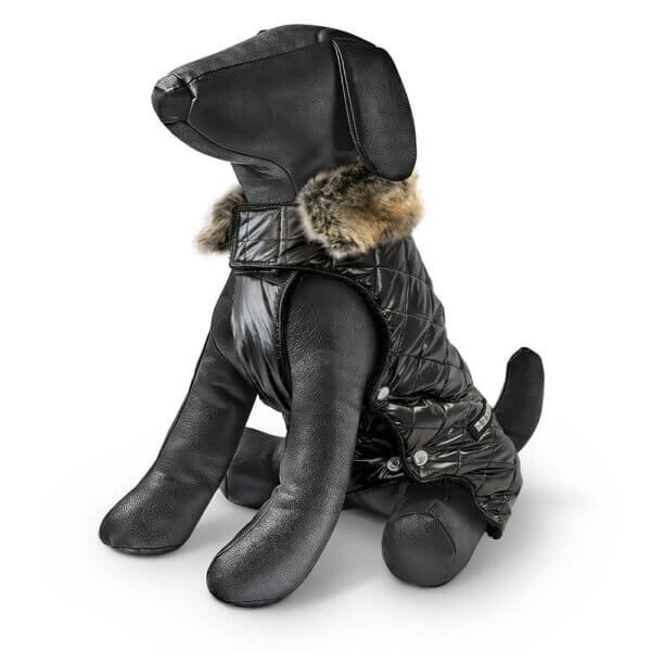 Manteau pour chien Noa Noa
