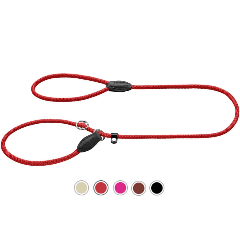 Retriever leash Freestyle 8/120