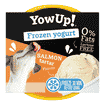 Dog Frozen Yogurt