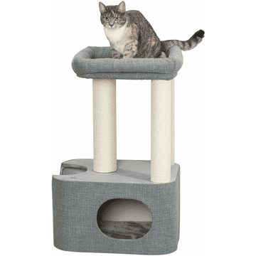 Viviana cat scratcher
