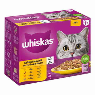 1+ Geflügel Auswahl in Gelée