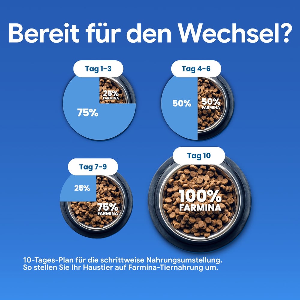 Feline Adult Kürbis Wild, Apfel