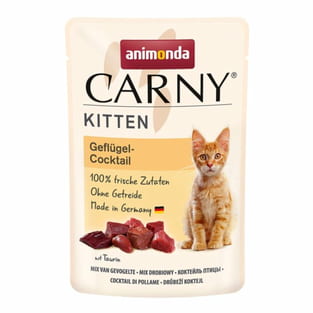 Carny Kitten