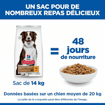 Canine Adult Healthy Mobility Medium Breed