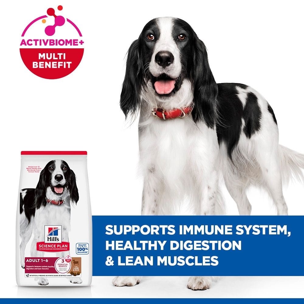 Canine Adult Medium Breed Lamb & Rice