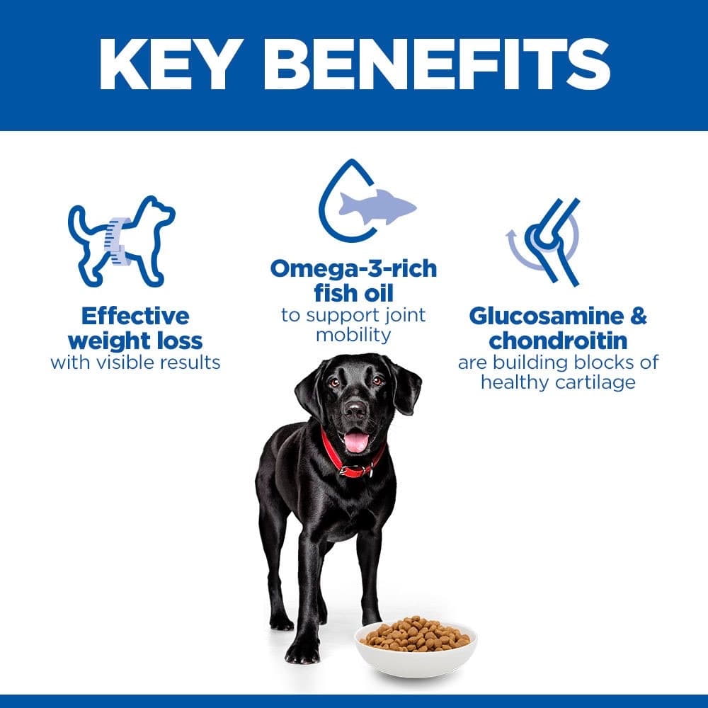 Canine Perfect Weight + Active Mobility Large Breed