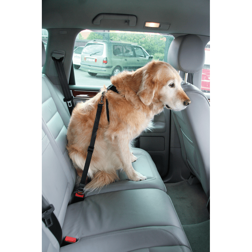 Sicherheitsgeschirr DogSafe für Hunde