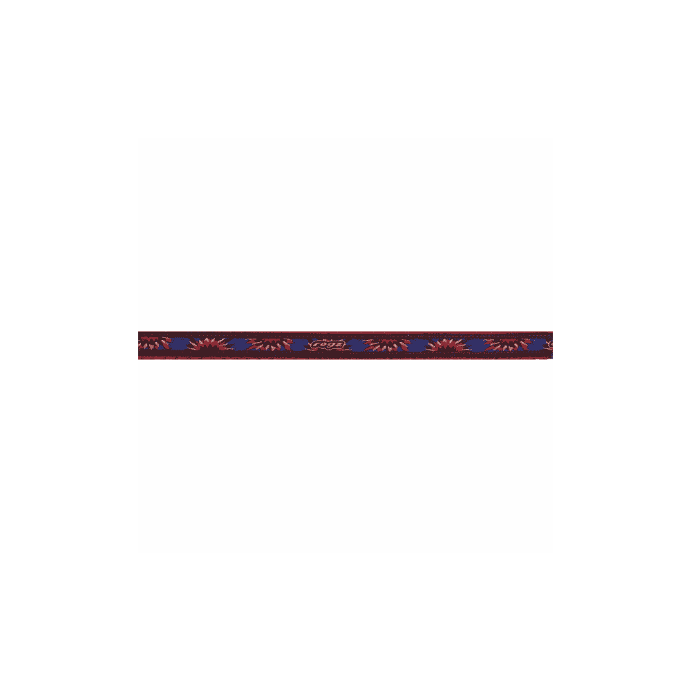 Dog leash Fancy Dress short