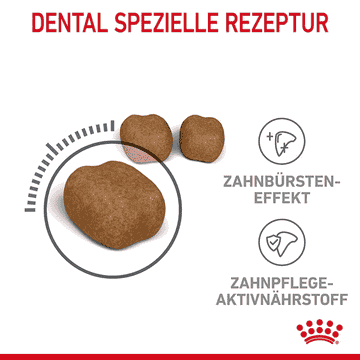 Oral  Care