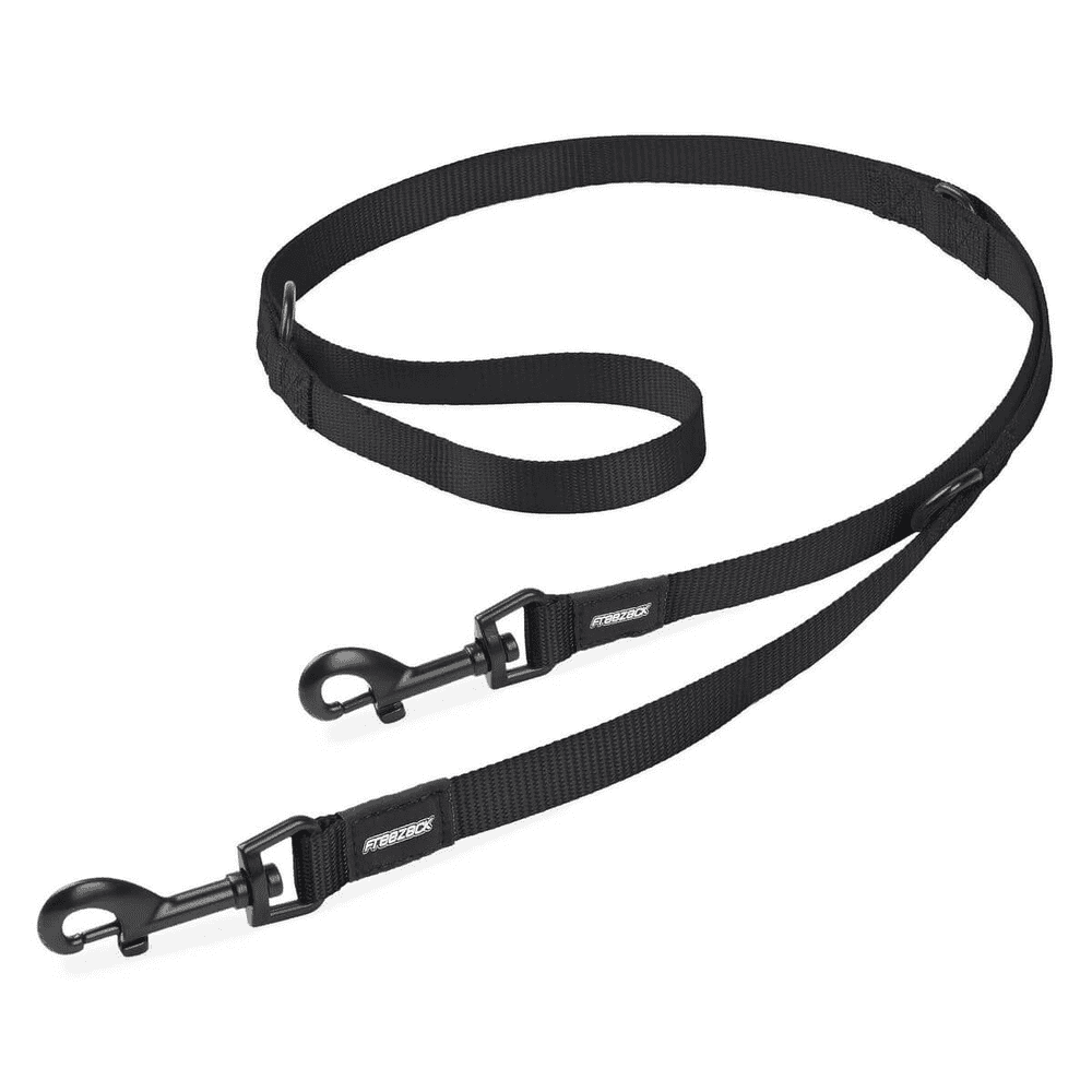 Basic Dog leash XL