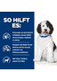 Canine c/d Multicare Urinary Care