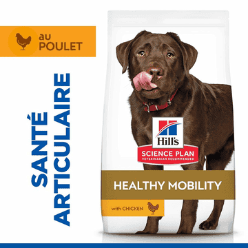 Canine Adult Healthy Mobility Large Breed