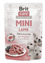 Care Mini Lamb for puppies