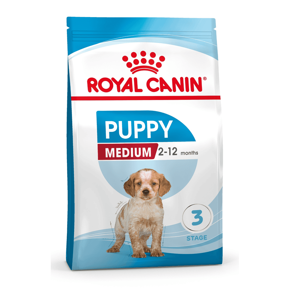 Medium Puppy