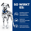 Canine u/d Urinary Care