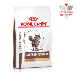 Gastrointestinal Hairball