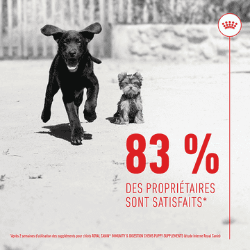 Immunity & Digestion Chews Puppy Supplements