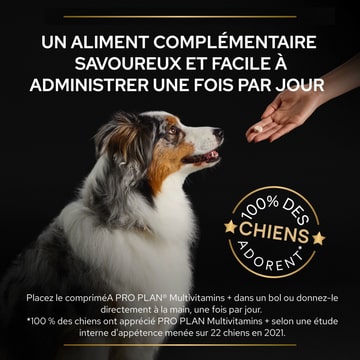 Dog Multivitamins +