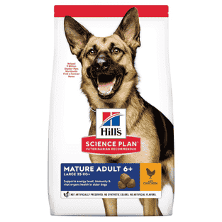 Canine Mature Adult 6+ Large Breed