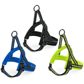 Geschirr Nordic Sport XL