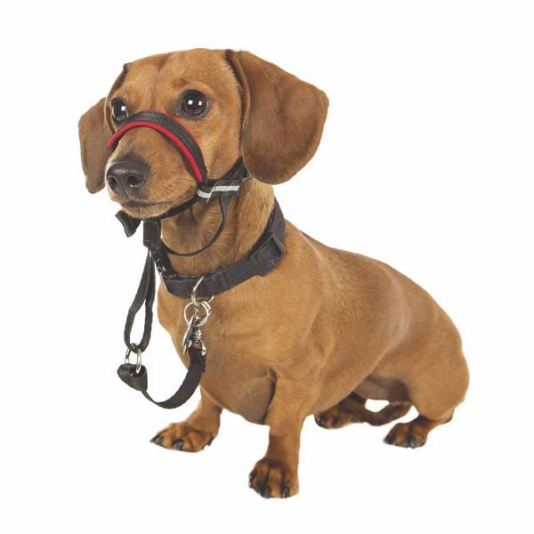 Optifit Headcollar, schwarz