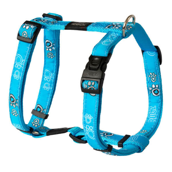 Harnais pour chien Fancy Dress XL