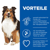 HypoAllergenic Treats