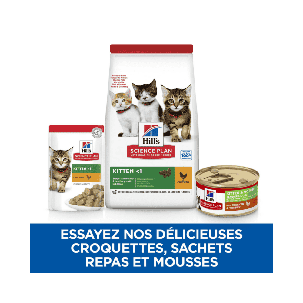 Kitten & Mother Tender Mousse